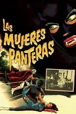 Póster de Las mujeres panteras
