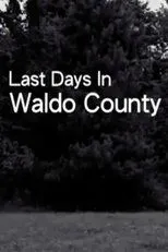 Póster de Last Days In Waldo County