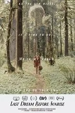 Póster de Last Dream Before Sunrise