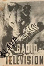 Póster de $lave - Radio Television