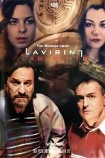 Póster de Lavirint