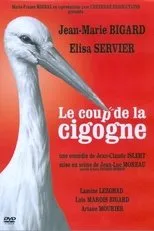 Póster de Le Coup de la Cigogne