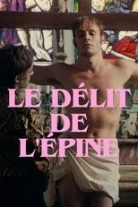 Póster de Le délit de l'épine