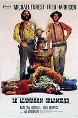 Póster de Le llamaban Calamidad