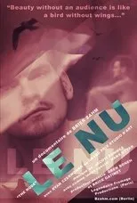 Póster de Le nu