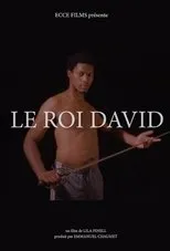 Póster de Le roi David