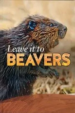 Póster de Leave it to Beavers