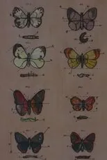 Póster de Lekcja anatomii