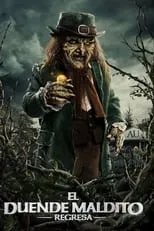 Póster de Leprechaun Returns