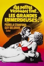 Póster de Les emmerdeuses