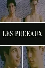 Póster de Les puceaux