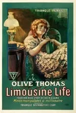 Póster de Limousine Life