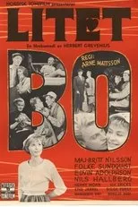 Póster de Litet bo