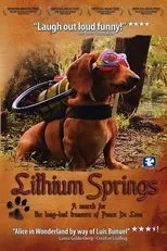 Póster de Lithium Springs