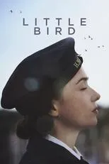 Póster de Little Bird