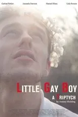 Póster de Little Gay Boy