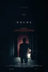 Póster de Llega de noche