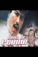 Póster de Lluvia de plomo
