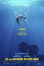 Póster de Lo que esconde Silver Lake