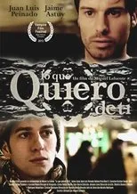 Póster de Lo que quiero de ti