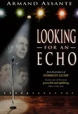 Póster de Looking for an Echo