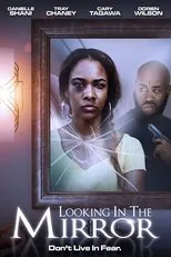 Póster de Looking in the Mirror