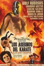 Póster de Los asesinos del karate