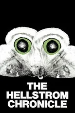 Póster de Los herederos de la tierra