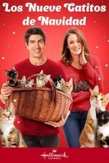 Póster de Los Nueve Gatitos de Navidad