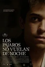 Póster de Los pájaros no vuelan de noche