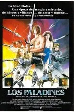 Póster de Los paladines