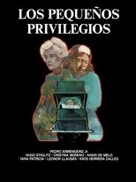 Póster de Los pequeños privilegios