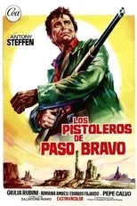 Póster de Los pistoleros de Paso Bravo