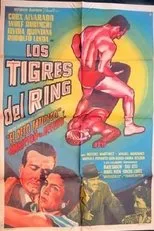 Póster de Los tigres del ring