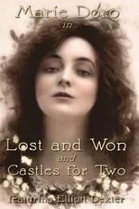 Póster de Lost and Won
