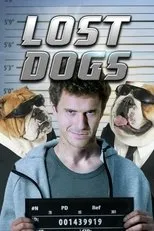 Póster de Lost Dogs