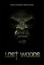 Póster de Lost Woods