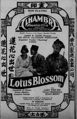 Póster de Lotus Blossom