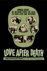 Póster de Love After Death