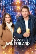 Póster de Love in Winterland