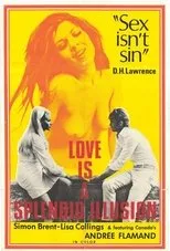 Póster de Love Is a Splendid Illusion