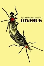 Póster de Lovebug
