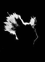 Póster de M - Les saisons de passage