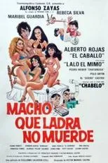 Póster de Macho que ladra no muerde