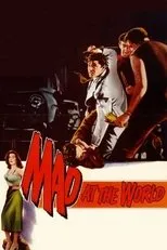 Póster de Mad at the World