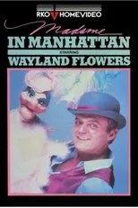 Póster de Madame in Manhattan