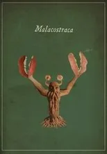 Póster de Malacostraca