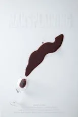 Póster de Mansplaining