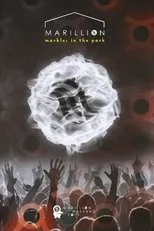 Póster de Marillion: Marbles in the Park