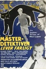Póster de Mästerdetektiven lever farligt